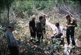 Phaff and Collegues collecting yeast from tree stumps in Japan (1967)