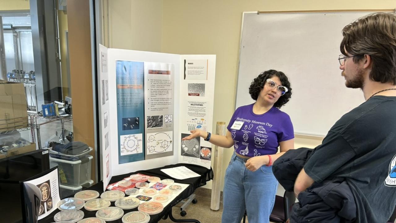Scientists in the collection made beautiful art using live yeasts that are naturally different colors including white, cream, pink and red.