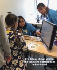Irna Sitepu shows visitors the yeast and bacteria cells in kombucha.